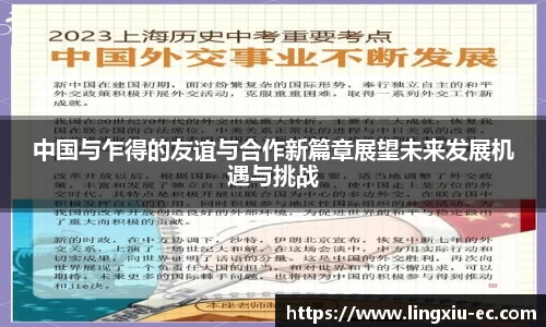 中国与乍得的友谊与合作新篇章展望未来发展机遇与挑战